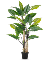Den konstgjorda växten Alocasia 240 cm är en hög konstgjord växt med stora gröna blad och flera stjälkar i en svart kruka, mot en vanlig vit bakgrund.