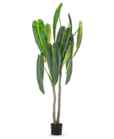Den konstgjorda växten Anthurium 210 cm har höga, frodiga gröna blad och två bruna stjälkar i en liten svart kruka, mot en enkel vit bakgrund.