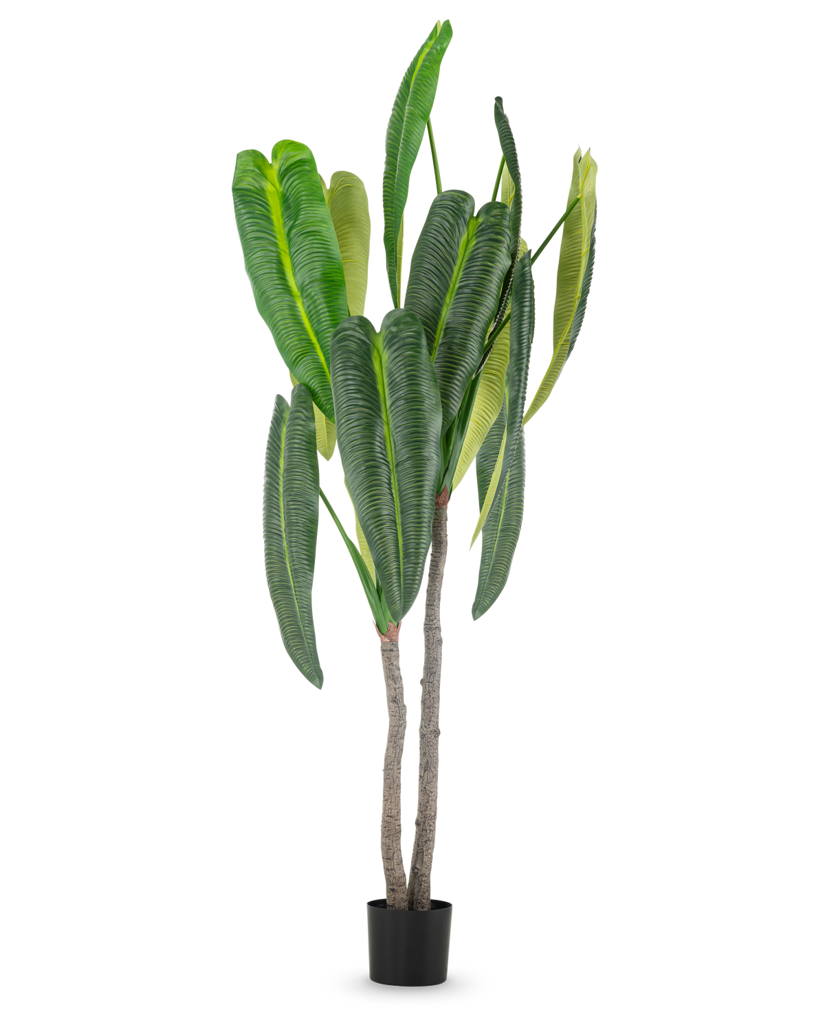 Den konstgjorda växten Anthurium 210 cm har höga, frodiga gröna blad och två bruna stjälkar i en liten svart kruka, mot en enkel vit bakgrund.