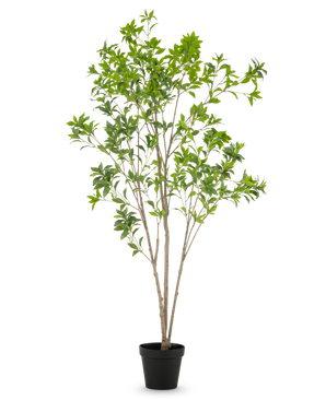 Den konstgjorda växten Pieris Japonica 210 cm har flera smala bruna stjälkar och rikligt med gröna blad, presenterade i en hög kruka mot en vanlig vit bakgrund.