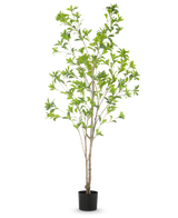 Den konstgjorda växten Pieris Japonica 180 cm är ett högt konstgjort träd i en kruka med flera smala bruna stammar och frodiga gröna blad mot en vanlig vit bakgrund.