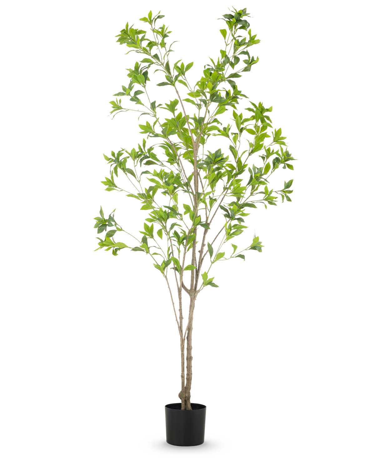 Den konstgjorda växten Pieris Japonica 180 cm är ett högt konstgjort träd i en kruka med flera smala bruna stammar och frodiga gröna blad mot en vanlig vit bakgrund.