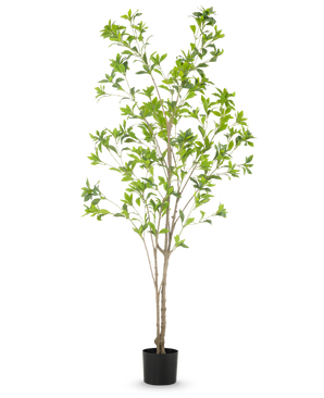 Den konstgjorda växten Pieris Japonica 180 cm är ett högt konstgjort träd i en kruka med flera smala bruna stammar och frodiga gröna blad mot en vanlig vit bakgrund.