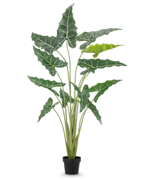 Den konstgjorda växten Alocasia 160 cm är en konstgjord växt i kruka med långa, upprättstående stjälkar och stora, mörkgröna blad med slående vita ådror, mot en vanlig vit bakgrund.