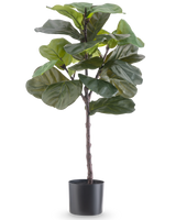 Artificiell växt Ficus Tobacco Plant Deluxe 90 cm är en hög konstgjord krukväxt med stora, glänsande gröna blad i en svart kruka, avbildad mot en vanlig vit bakgrund.