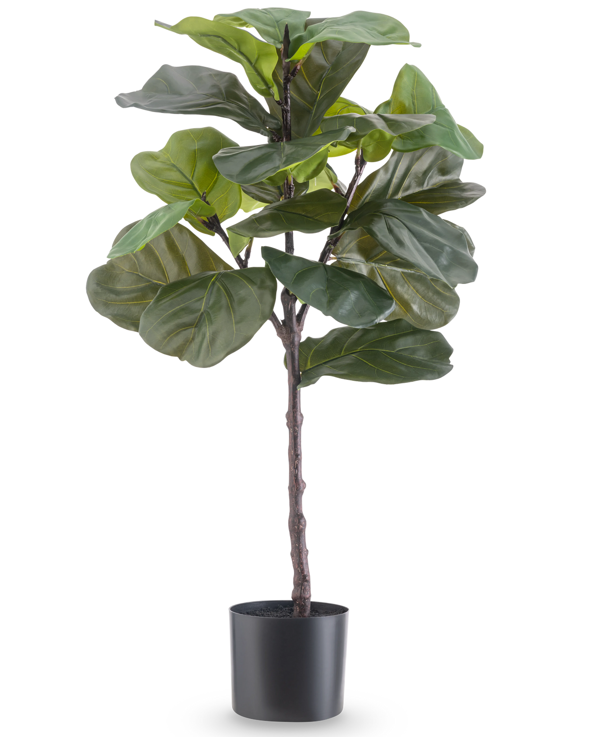 Artificiell växt Ficus Tobacco Plant Deluxe 90 cm är en hög konstgjord krukväxt med stora, glänsande gröna blad i en svart kruka, avbildad mot en vanlig vit bakgrund.