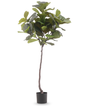 Artificiell växt Ficus Tobacco Plant Deluxe 180 cm är en hög konstgjord växt med stora, glänsande gröna blad och en smal brun stam, mot en vanlig vit bakgrund.