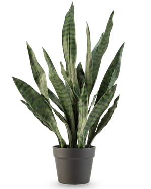 Den konstgjorda växten Sansevieria Zeylanica 71 cm har långa, upprättstående gröna blad med mörka horisontella ränder, i en enkel mörkgrå kruka mot en vanlig vit bakgrund.