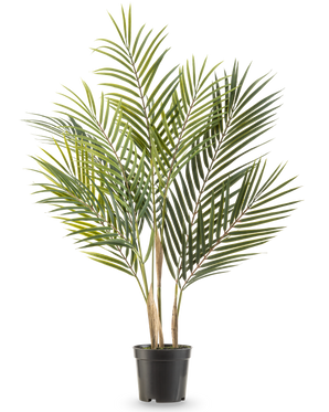 Artificiell palm Chamaedorea 71 cm har långa, smala gröna blad och flera stammar, vilket gör att den ser ut som en lång palm i en kruka mot en vit bakgrund.