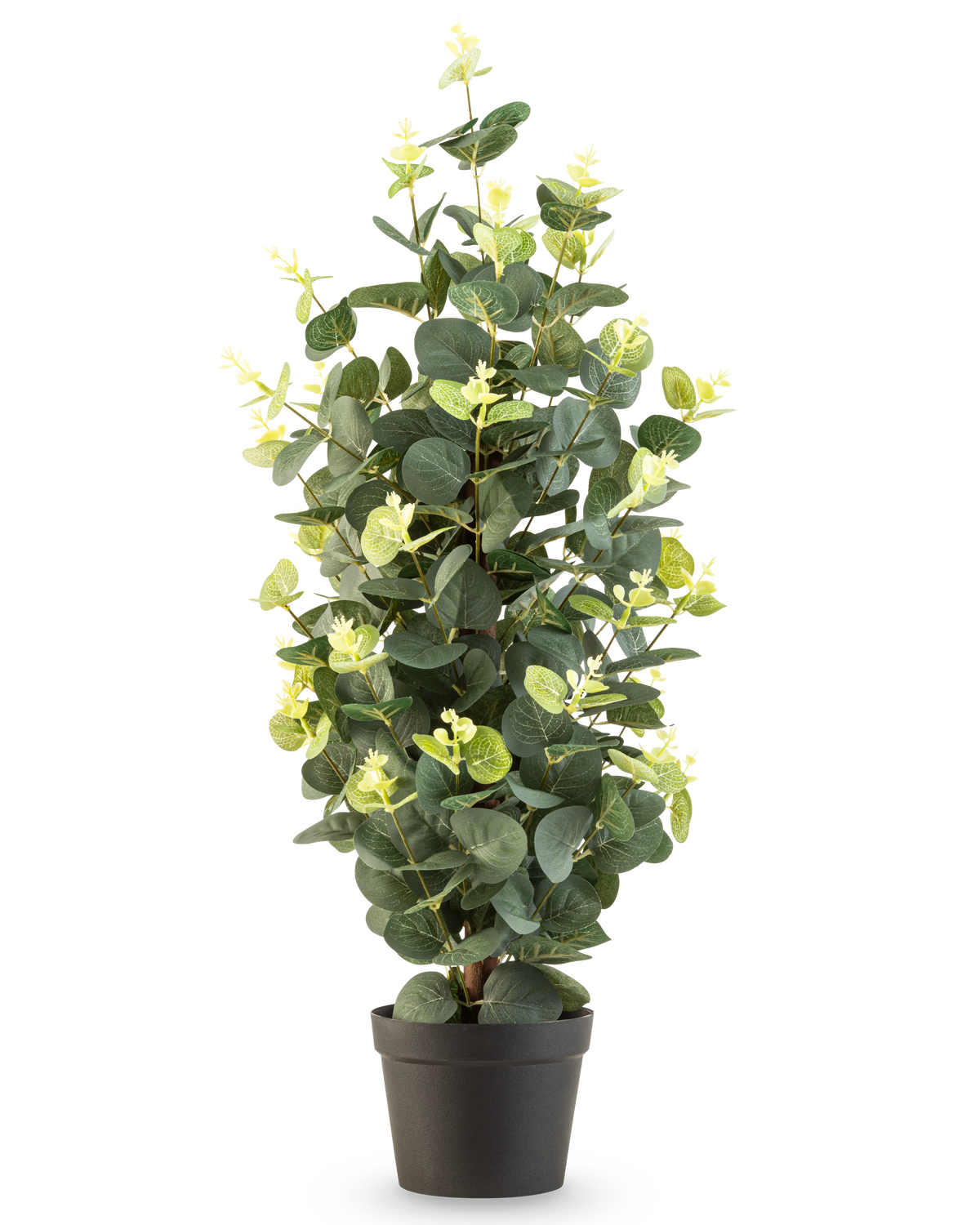 Den konstgjorda växten Eucalyptus 61 cm är en konstgjord växt i kruka med gröna blad i en enkel svart kruka, som står upprätt mot en vit bakgrund.