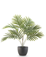 Artificiell Palm Phoenix 50 cm har långa gröna böjda blad i en rund svart dekorativ kruka, mot en vanlig vit bakgrund.