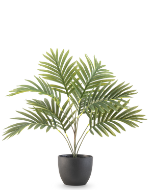 Artificiell Palm Phoenix 50 cm har långa gröna böjda blad i en rund svart dekorativ kruka, mot en vanlig vit bakgrund.
