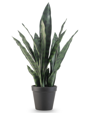 Den konstgjorda växten Sansevieria Zeylanica 44 cm har långa, upprättstående gröna blad med färgglada mönster, presenterade i en enkel svart kruka mot en vanlig vit bakgrund.