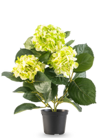 Artificiell Hydrangea Green UV 35 cm har tre knippen ljusgulgröna blommor och stora djupgröna blad, allt i en kruka mot en vit bakgrund.