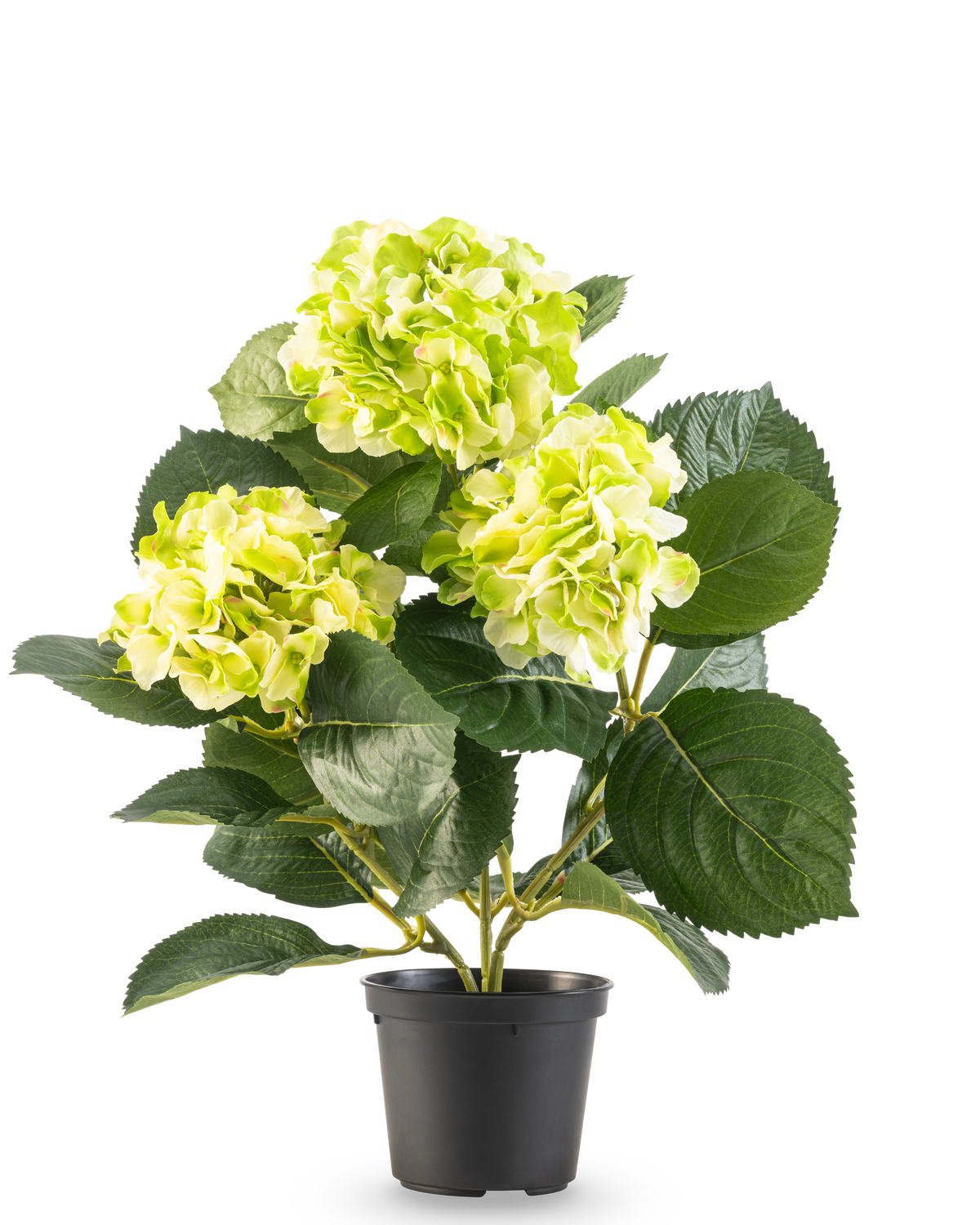 Artificiell Hydrangea Green UV 35 cm har tre knippen ljusgulgröna blommor och stora djupgröna blad, allt i en kruka mot en vit bakgrund.