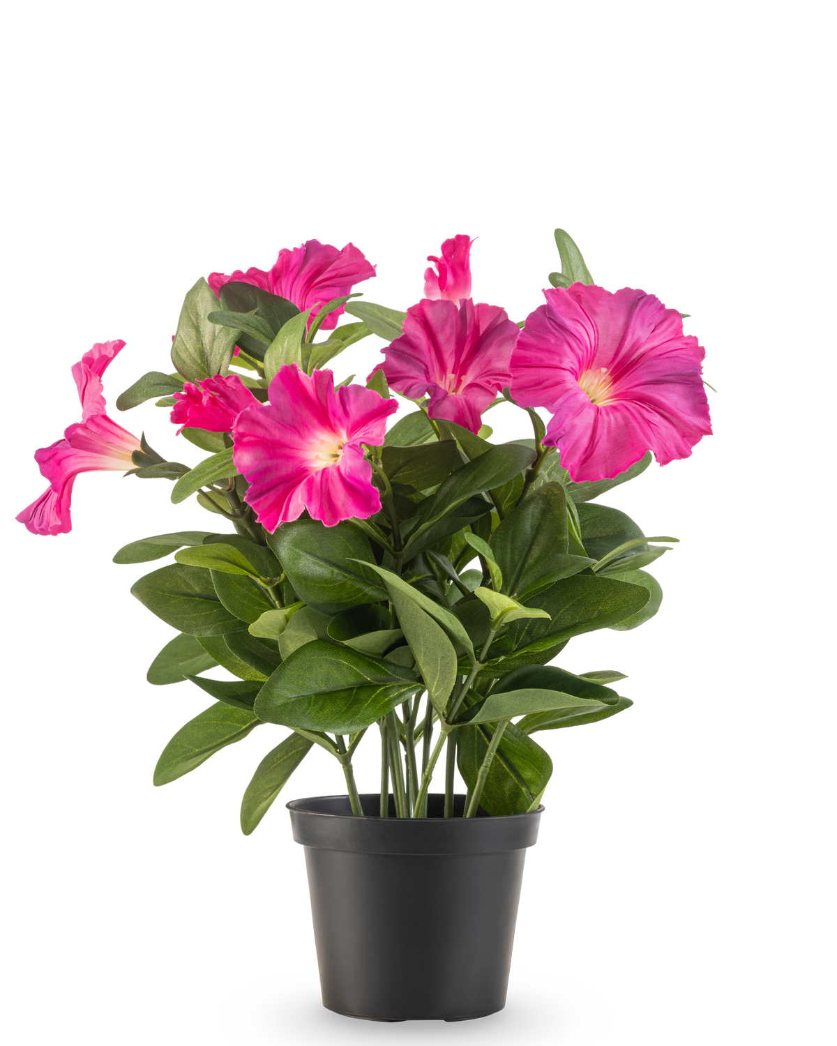 En artificiell blomma Petunia växt UV 25 cm i mörkt rosa, med breda gröna blad och levande blommor i en svart plastkruka, mot en vanlig vit bakgrund.