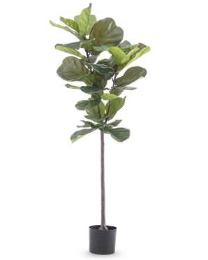 Artificiell växt Ficus Tobacco Plant Deluxe 155 cm har breda gröna blad och kommer i en svart kruka, avbildad mot en vanlig vit bakgrund.