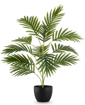 Artificiell Palm Phoenix 65 cm, med frodiga gröna blad, står i en elegant svart dekorativ kruka mot en vanlig vit bakgrund.