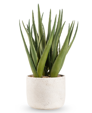 Den konstgjorda växten Aloe Vera 43 cm har långa, spetsiga gröna blad i en liten, rund kruka med vit struktur och småsten, mot en vanlig vit bakgrund.