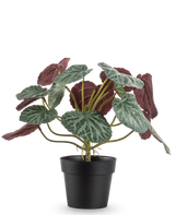 Den konstgjorda växten Saxifraga 27 cm har gröna blad med vita ådror och rödlila undersidor, presenterade i en enkel svart kruka mot en vanlig vit bakgrund.