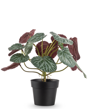 Den konstgjorda växten Saxifraga 27 cm har gröna blad med vita ådror och rödlila undersidor, presenterade i en enkel svart kruka mot en vanlig vit bakgrund.