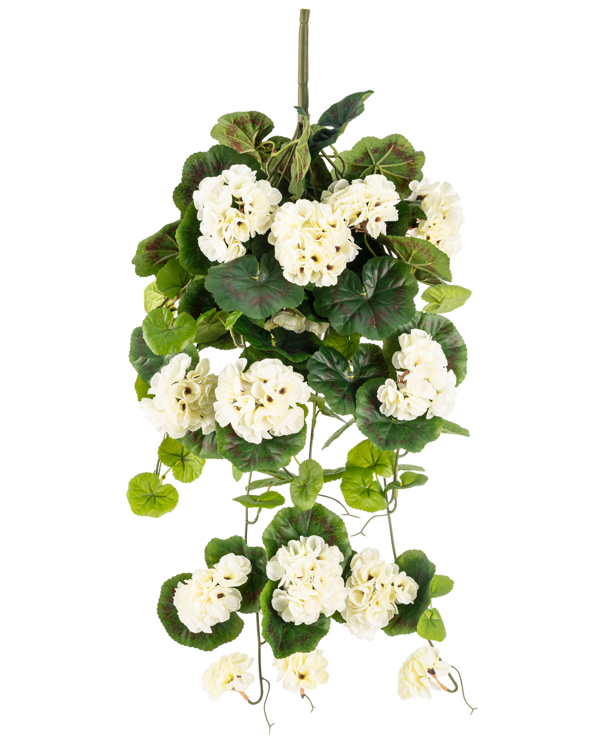 Den konstgjorda hängande växten Geranium 75 cm vit är en konstgjord hängande växt med klasar av vita blommor och gröna blad, vertikalt mot en vanlig vit bakgrund.