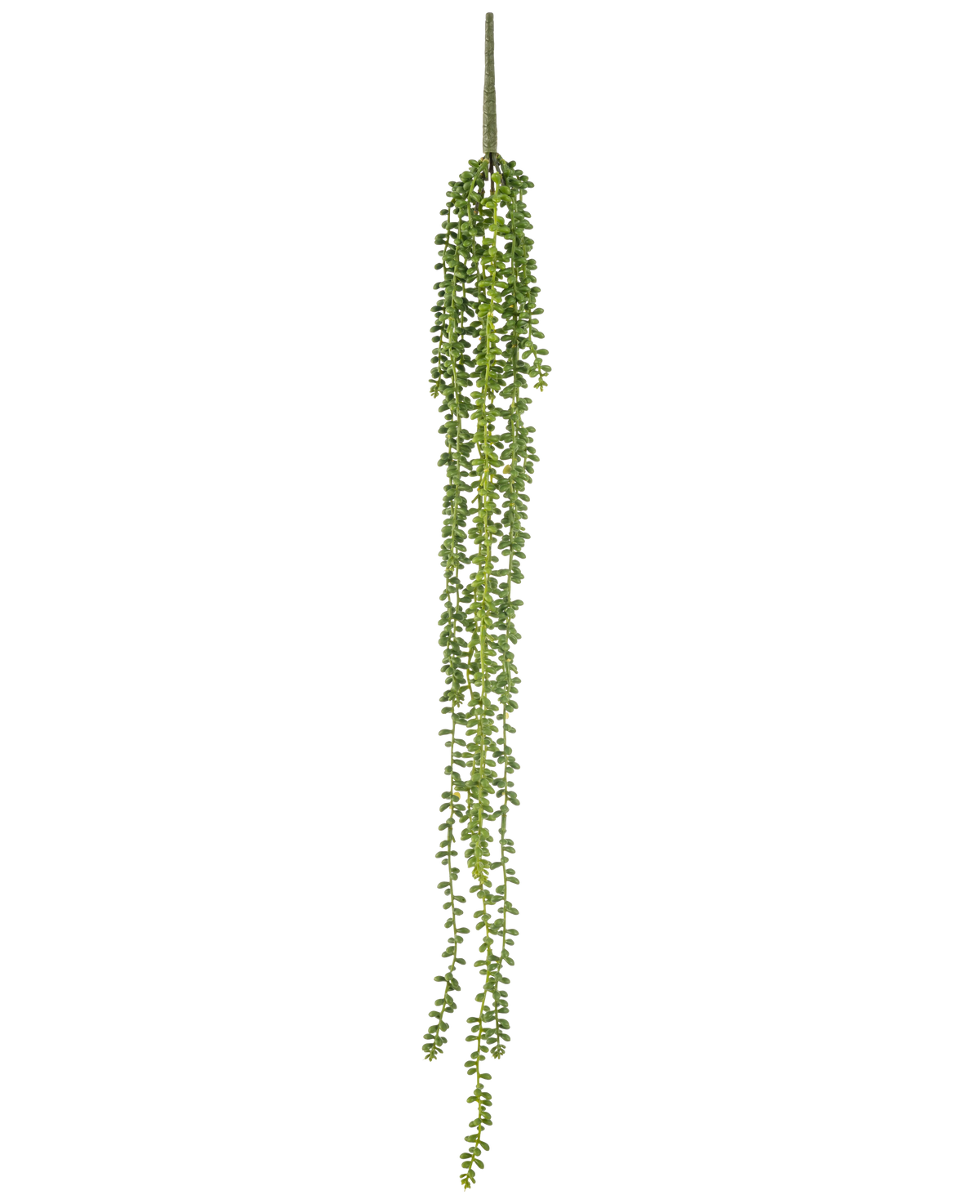 Den konstgjorda hängande växten Senecio 91 cm har långa, slingrande trådar med små runda gröna blad, som hänger vertikalt mot en vanlig vit bakgrund.