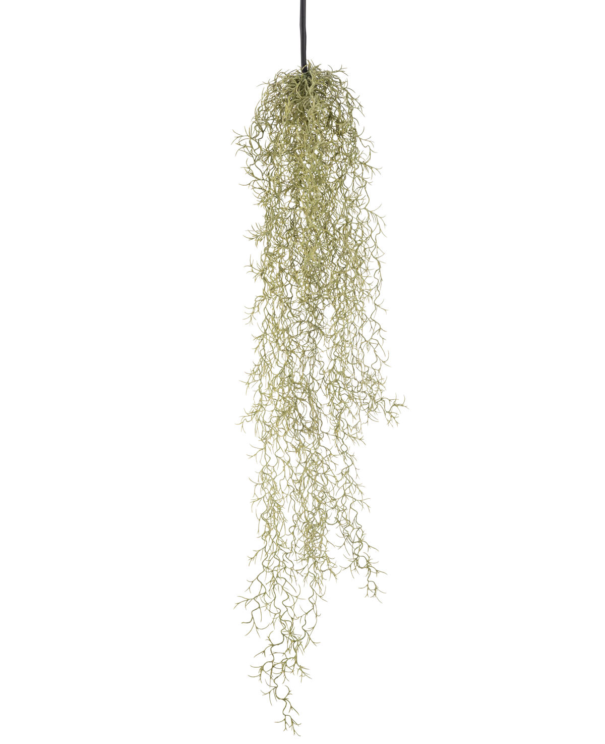 En konstgjord hängväxt Gräs 91 cm med långa, släpande ljusgröna blad hänger från en svart snöre mot en vanlig vit bakgrund.