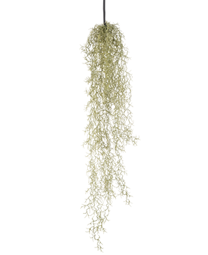 En konstgjord hängväxt Gräs 91 cm med långa, släpande ljusgröna blad hänger från en svart snöre mot en vanlig vit bakgrund.