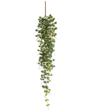 Den konstgjorda hängande växten Pumila 96 cm har små runda gröna blad som hänger från en brun stjälk, vilket skapar en verklighetstrogen släpeffekt. På bilden mot en vit bakgrund lägger denna konstgjorda växt till grönska utan underhåll.