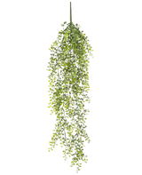 Den konstgjorda hängväxten Buxus 80 cm är en konstgjord hängväxt med långa, slingrande gröna rankor och små runda blad mot en vit bakgrund.
