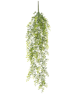Den konstgjorda hängväxten Buxus 80 cm är en konstgjord hängväxt med långa, slingrande gröna rankor och små runda blad mot en vit bakgrund.