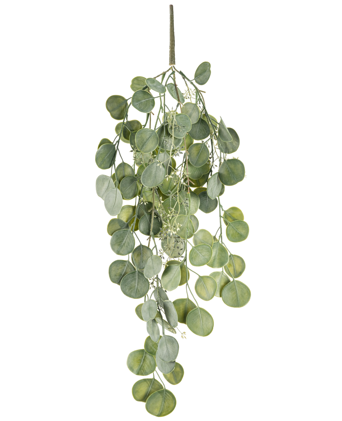 Den konstgjorda hängande växten Eucalyptus 73 cm har runda gröna blad på flera stjälkar som hänger graciöst mot en vit bakgrund.