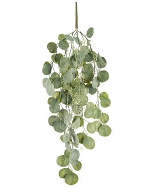 Den konstgjorda hängande växten Eucalyptus 73 cm har runda gröna blad på flera stjälkar som hänger graciöst mot en vit bakgrund.