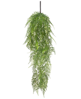 Den konstgjorda hängande växtsparrisen 78 cm har långa, känsliga gröna blad som faller ner, vilket skapar en frodig, verklighetstrogen bild mot en vanlig vit bakgrund.