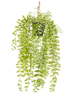 Den konstgjorda hängande växten Pumila i 55 cm kruka har långa, hängande stjälkar med små, ovala, gröna blad, i en svart kruka med ett rep mot vit bakgrund.