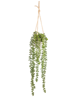 Den konstgjorda Senecio hängande växten i kruka 55 cm har långa gröna hängande stjälkar med runda blad, hängande i en vit kruka på ett brunt rep, perfekt för att lägga till grönska till alla utrymmen.