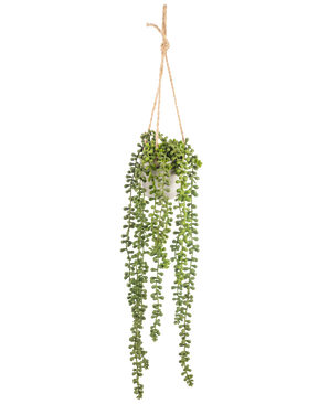 Den konstgjorda Senecio hängande växten i kruka 55 cm har långa gröna hängande stjälkar med runda blad, hängande i en vit kruka på ett brunt rep, perfekt för att lägga till grönska till alla utrymmen.
