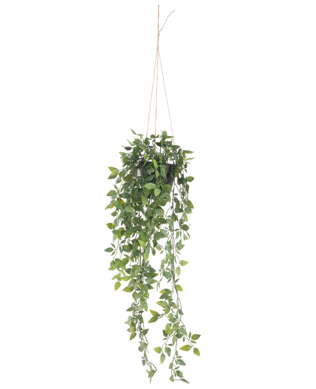 Den konstgjorda hängande växten Scindapsus i kruka 73 cm har frodiga gröna blad och långa slingrande rankor, upphängda i tunt rep mot en vanlig vit bakgrund.