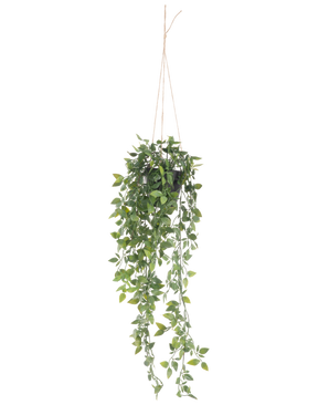 Den konstgjorda hängande växten Scindapsus i kruka 73 cm har frodiga gröna blad och långa slingrande rankor, upphängda i tunt rep mot en vanlig vit bakgrund.
