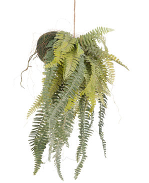 Den konstgjorda hängande växten Frosted Fern on ball 97 cm har graciösa, långa gröna blad som hänger från en mossbeklädd boll på ett tunt rep. En snygg, underhållsfri krukväxt som passar perfekt i alla interiörer.