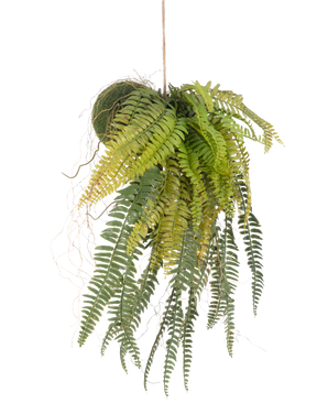 Den konstgjorda hängande växten Fern on ball 63 cm har frodiga, överhängande gröna blad och ömtåliga blad. Hängande i ett tunt snöre mot en vit bakgrund är det den perfekta underhållsfria hängväxten för alla rum.