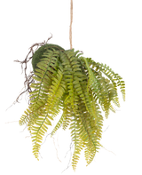 Den konstgjorda hängande växten Fern on ball 26 cm har naturtrogna gröna blad i en mossbeklädd boll, upphängd i ett snöre - en idealisk dekorativ pjäs för alla interiörer mot en vit bakgrund.