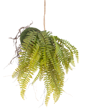 Den konstgjorda hängande växten Fern on ball 26 cm har naturtrogna gröna blad i en mossbeklädd boll, upphängd i ett snöre - en idealisk dekorativ pjäs för alla interiörer mot en vit bakgrund.