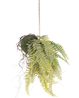 Den konstgjorda hängande växten Frosted Fern on ball 76 cm har naturtrogna gröna ormbunksblad och exponerade rötter i kokedama-stil, hängande i en brun sladd - perfekt för att lägga till varaktig grönska till alla rum.