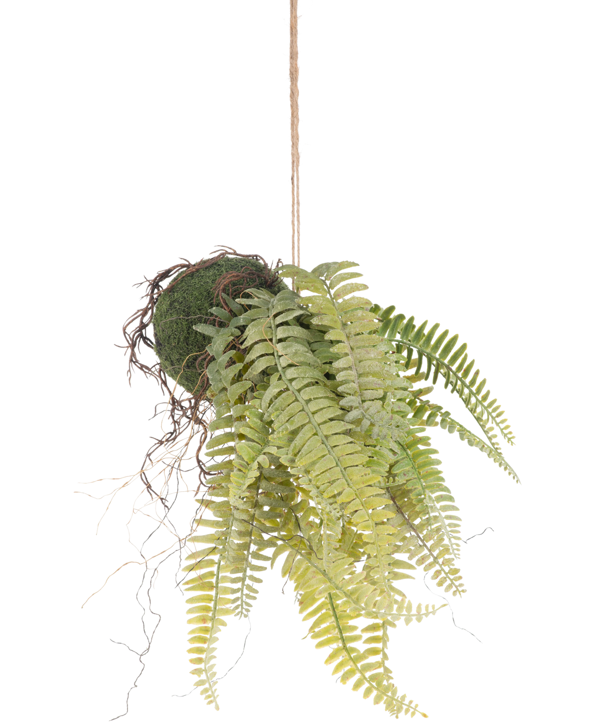 Den konstgjorda hängande växten Frosted Fern on ball 76 cm har naturtrogna gröna ormbunksblad och exponerade rötter i kokedama-stil, hängande i en brun sladd - perfekt för att lägga till varaktig grönska till alla rum.