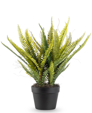Den konstgjorda växten Boston Fern 53 cm har långa, smala gröna blad i en svart kruka, mot en vanlig vit bakgrund.