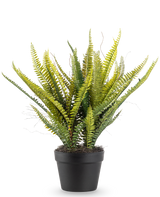 Den konstgjorda växten Boston Fern 53 cm har långa, smala gröna blad i en svart kruka, mot en vanlig vit bakgrund.