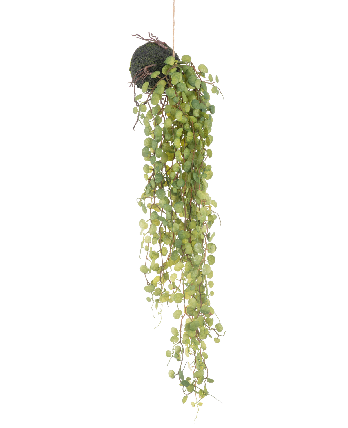 Den konstgjorda hängande växten Succulent Plant on Ball 78 cm har gröna runda blad som växer fram från en liten, sfärisk mossbeklädd planteringskruka, perfekt som en dekorativ accent mot en vanlig vit bakgrund.