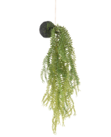 Den konstgjorda hängväxten Phlegmariurus ball 50 cm har gröna ormbunksblad på en mossbeklädd rund bas, upphängd i ett snöre mot vit bakgrund.